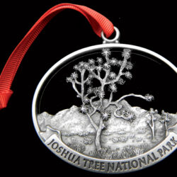 Joshua Tree National Park locket with a red ribbon