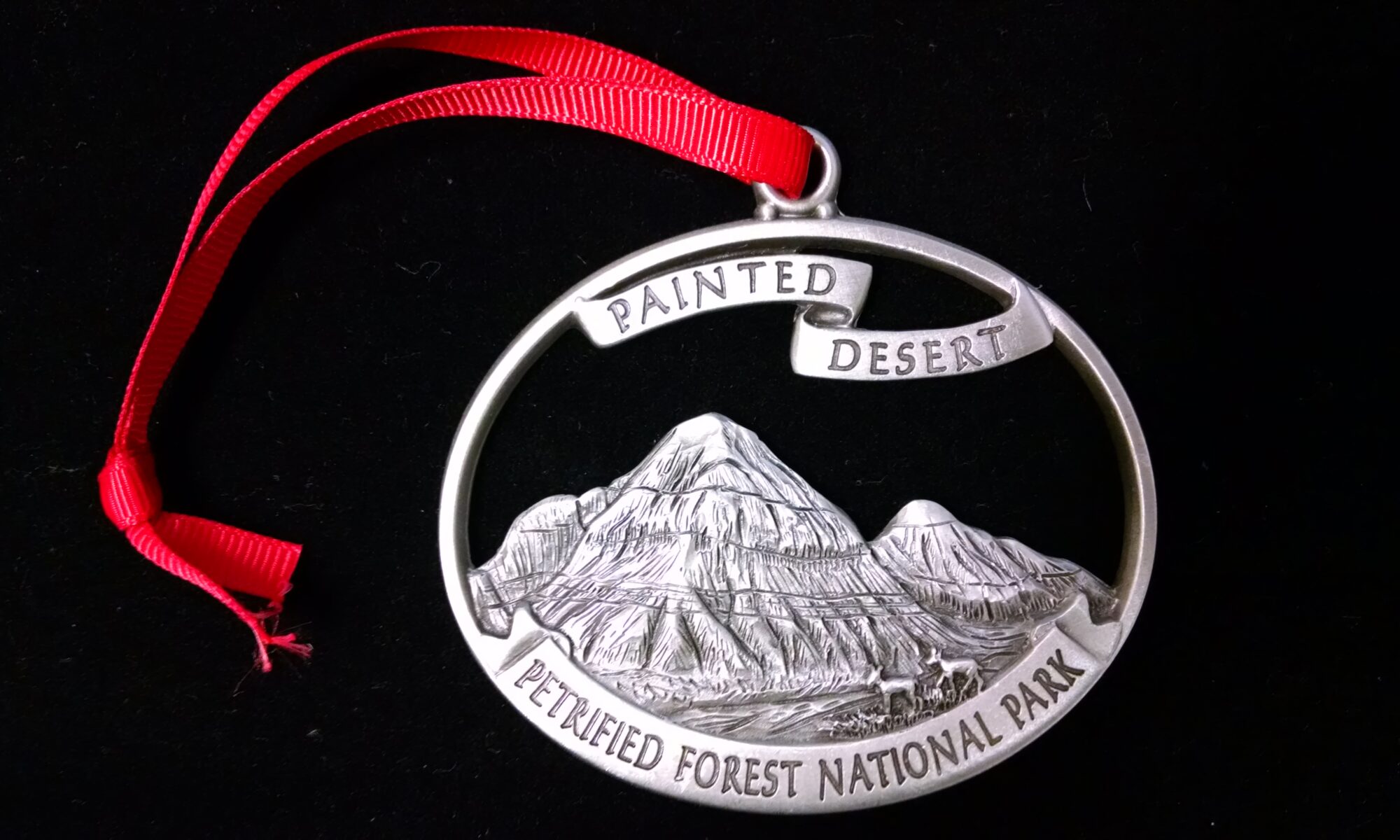 A silver ornament of Petrified Forest National Park.