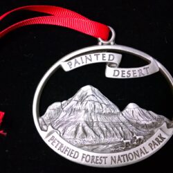 A silver ornament of Petrified Forest National Park.